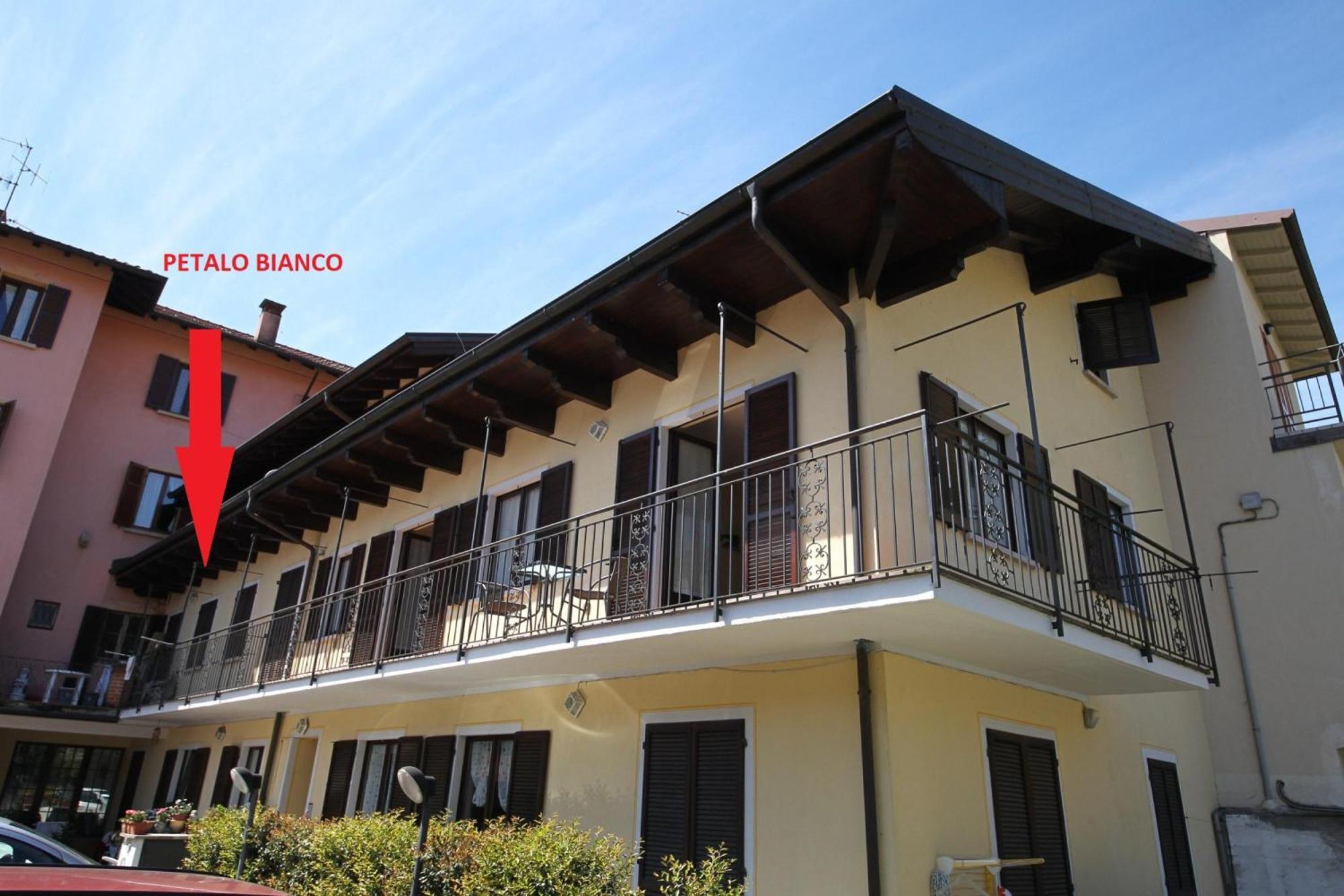 Petalo Bianco 100M From Lake - Happy Rentals Baveno Esterno foto